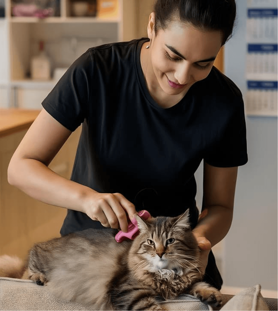 Vet grooming a cat