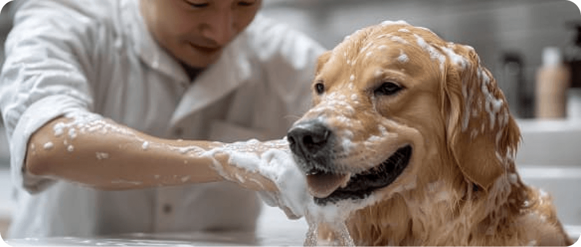 Relaxe Bath & Full Grooming