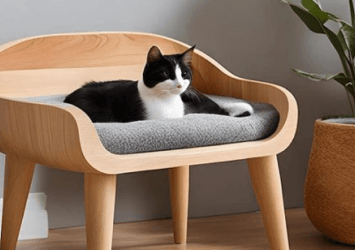 Essential Tips For A Healthy Pet Life Throughout The Year