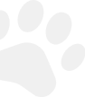 Background paw