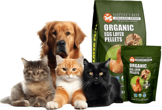 Natural Pet Products