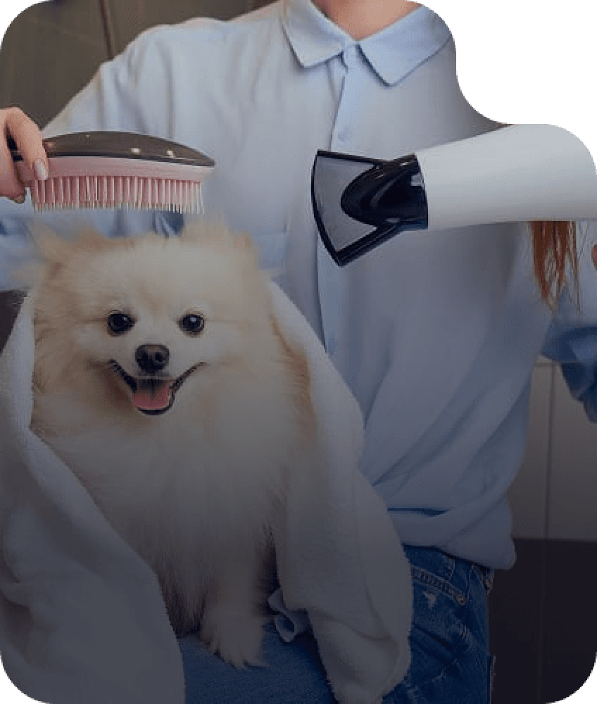 Grooming & Styling